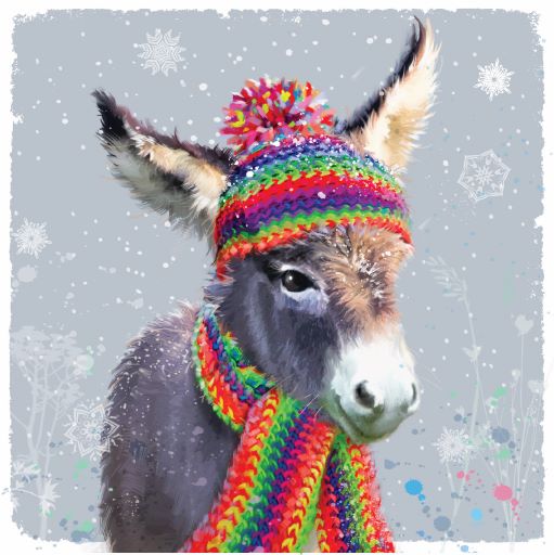 Donkey wearing a rainbow coloured hat and scarf.